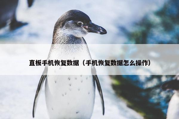 直板手机恢复数据（手机恢复数据怎么操作）