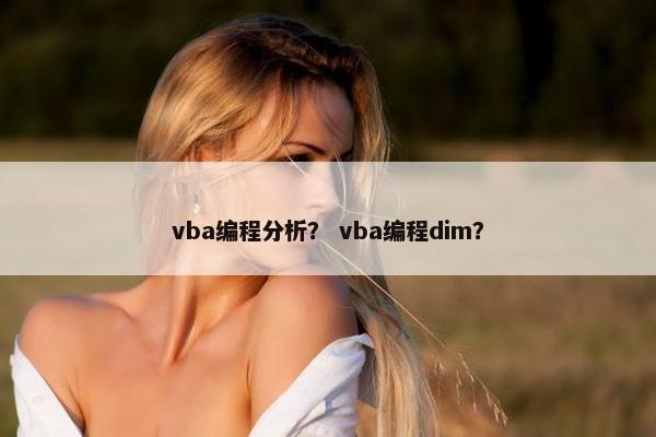 vba编程分析？ vba编程dim？