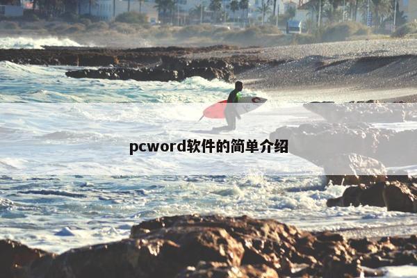 pcword软件的简单介绍