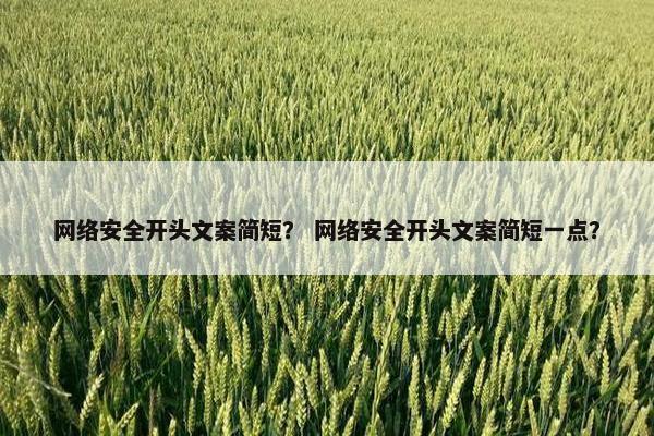 网络安全开头文案简短？ 网络安全开头文案简短一点？