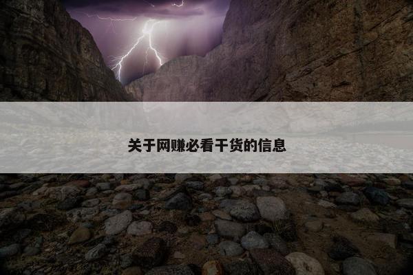 关于网赚必看干货的信息