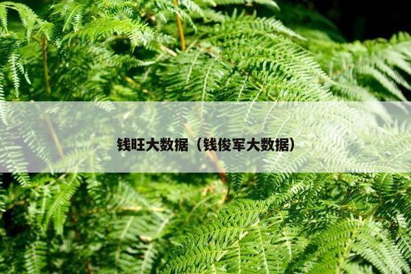 钱旺大数据（钱俊军大数据）