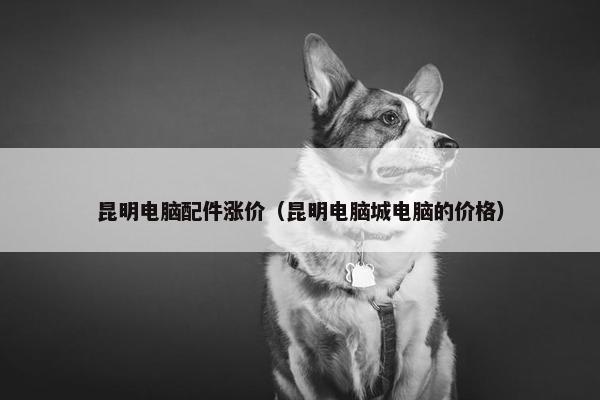 昆明电脑配件涨价（昆明电脑城电脑的价格）