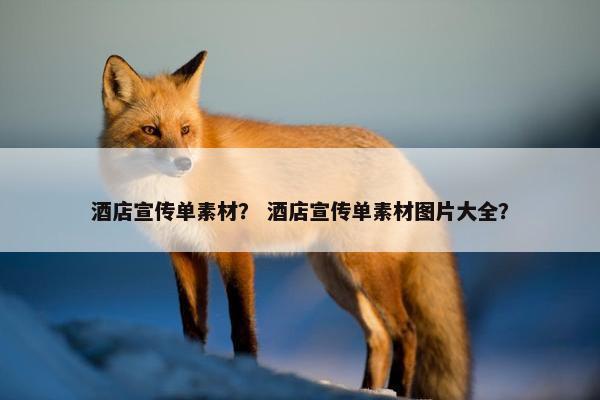 酒店宣传单素材？ 酒店宣传单素材图片大全？