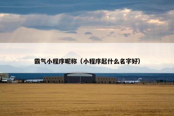 霸气小程序昵称（小程序起什么名字好）