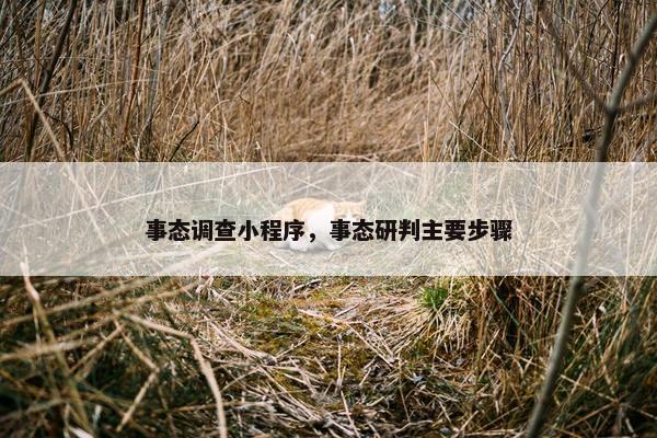 事态调查小程序，事态研判主要步骤