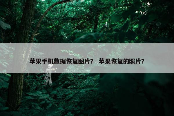 苹果手机数据恢复图片？ 苹果恢复的照片？