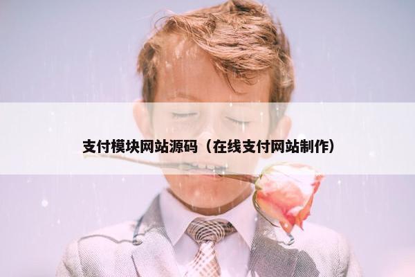 支付模块网站源码（在线支付网站制作）