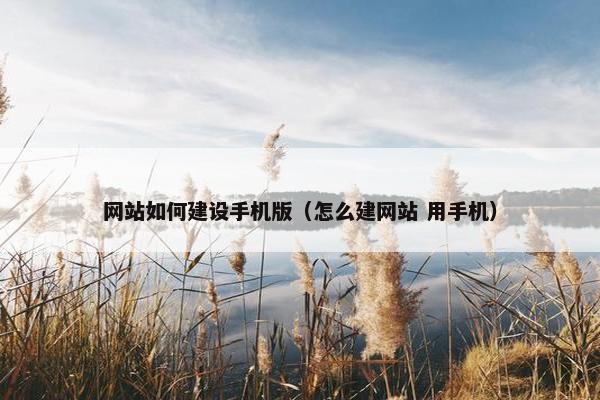 网站如何建设手机版（怎么建网站 用手机）