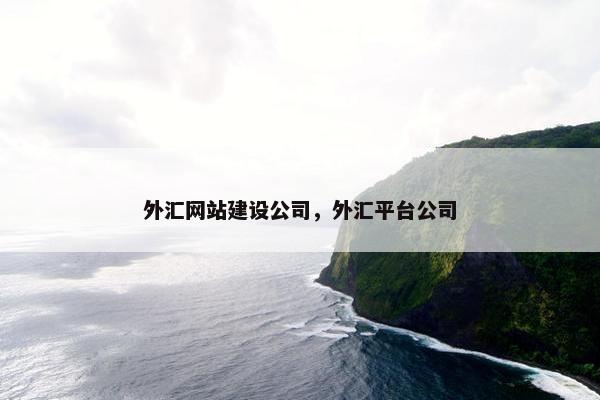 外汇网站建设公司，外汇平台公司