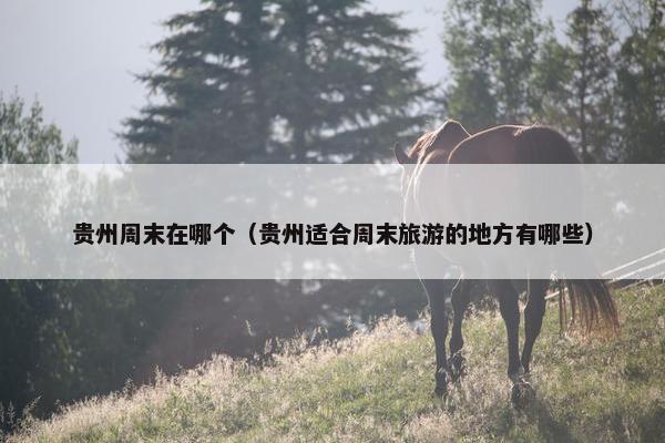 贵州周末在哪个（贵州适合周末旅游的地方有哪些）