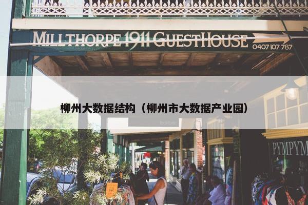 柳州大数据结构（柳州市大数据产业园）
