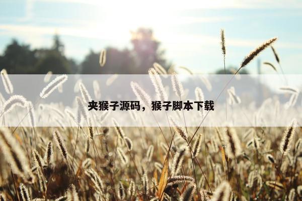 夹猴子源码，猴子脚本下载