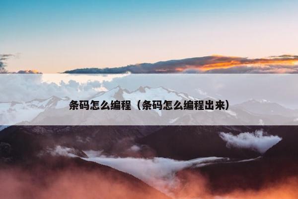 条码怎么编程（条码怎么编程出来）