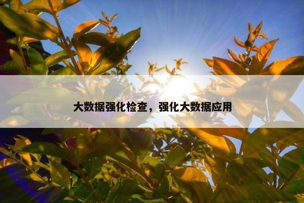 大数据强化检查，强化大数据应用