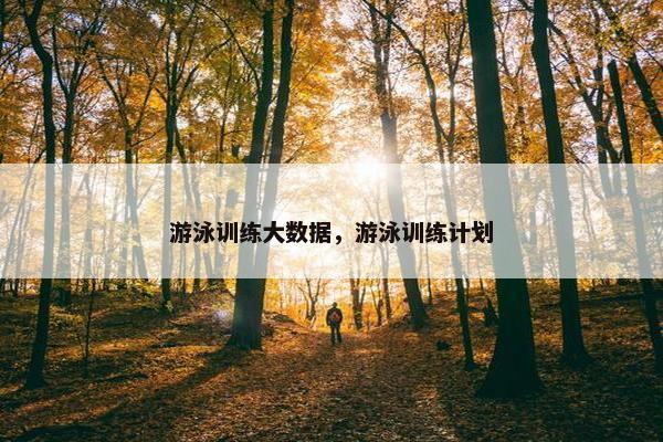游泳训练大数据，游泳训练计划