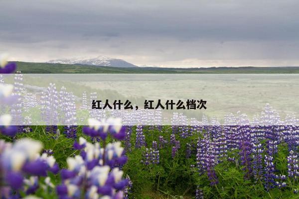 红人什么，红人什么档次