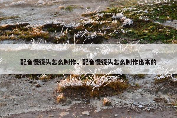 配音慢镜头怎么制作，配音慢镜头怎么制作出来的