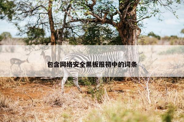 包含网络安全黑板报初中的词条