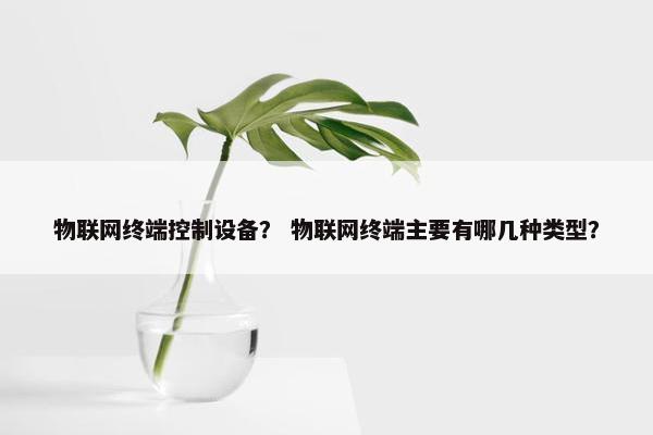 物联网终端控制设备？ 物联网终端主要有哪几种类型？