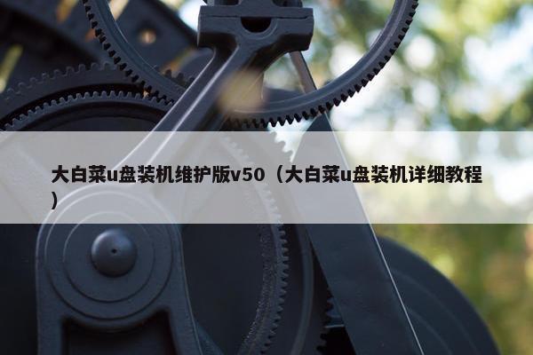 大白菜u盘装机维护版v50（大白菜u盘装机详细教程）