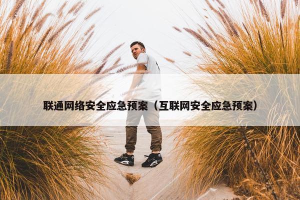 联通网络安全应急预案（互联网安全应急预案）
