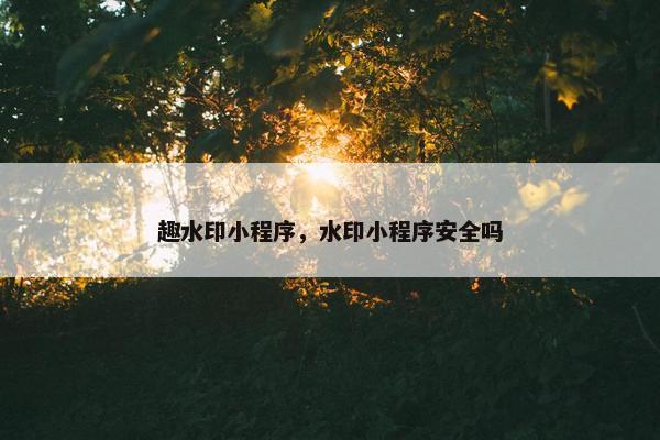 趣水印小程序，水印小程序安全吗