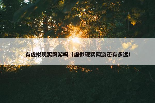 有虚拟现实网游吗（虚拟现实网游还有多远）