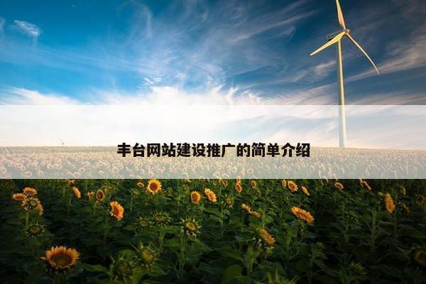 丰台网站建设推广的简单介绍