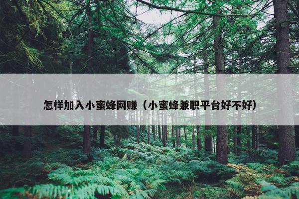 怎样加入小蜜蜂网赚（小蜜蜂兼职平台好不好）