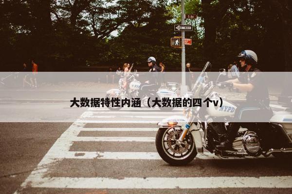 大数据特性内涵（大数据的四个v）