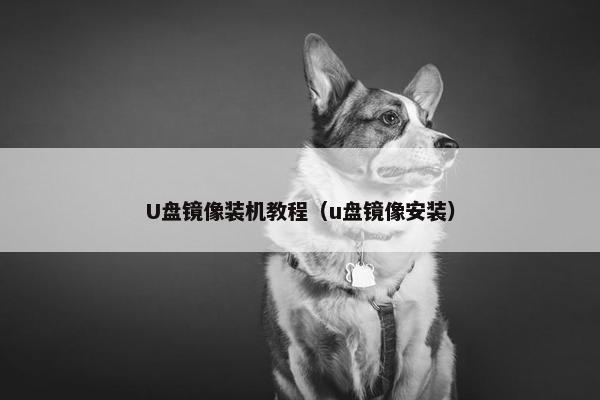 U盘镜像装机教程（u盘镜像安装）