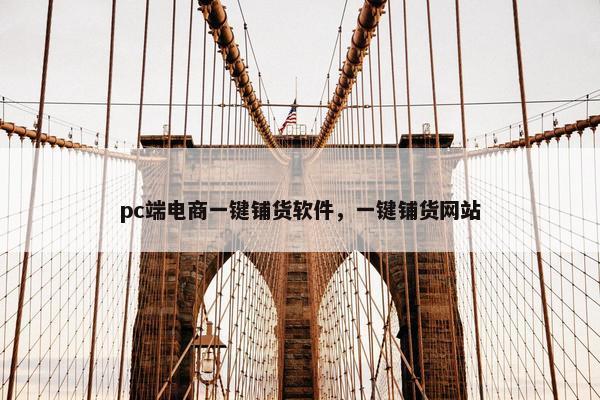 pc端电商一键铺货软件，一键铺货网站