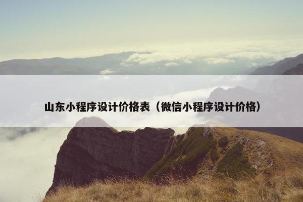 山东小程序设计价格表（微信小程序设计价格）