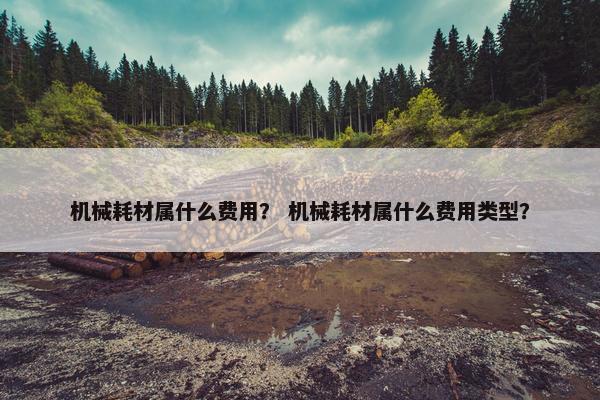 机械耗材属什么费用？ 机械耗材属什么费用类型？