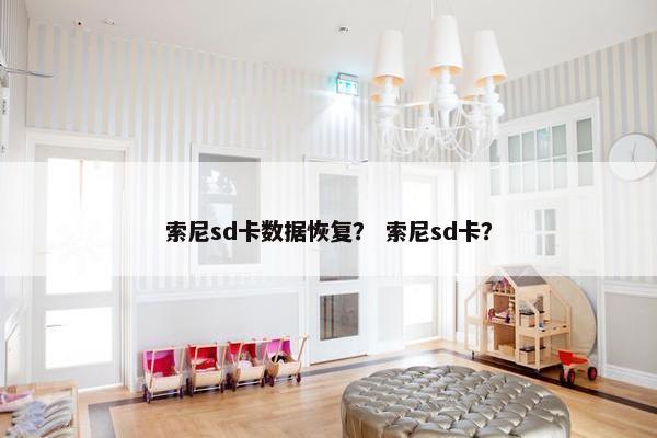 索尼sd卡数据恢复？ 索尼sd卡？