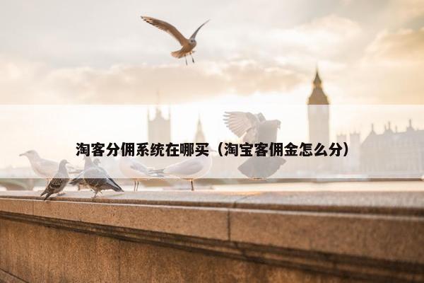 淘客分佣系统在哪买（淘宝客佣金怎么分）