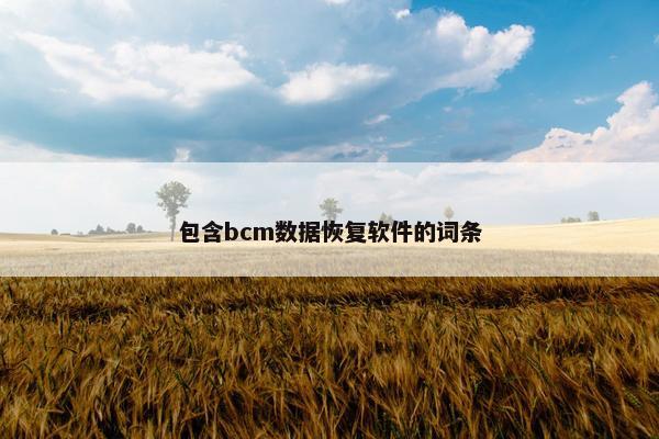 包含bcm数据恢复软件的词条