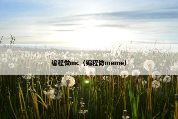 编程做mc（编程做meme）