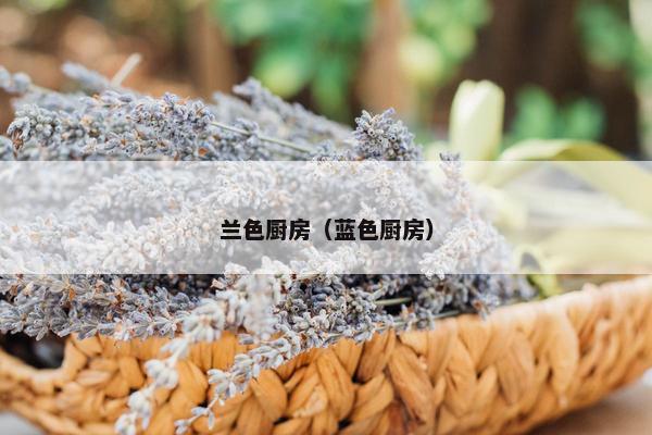 兰色厨房（蓝色厨房）