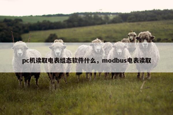 pc机读取电表组态软件什么，modbus电表读取