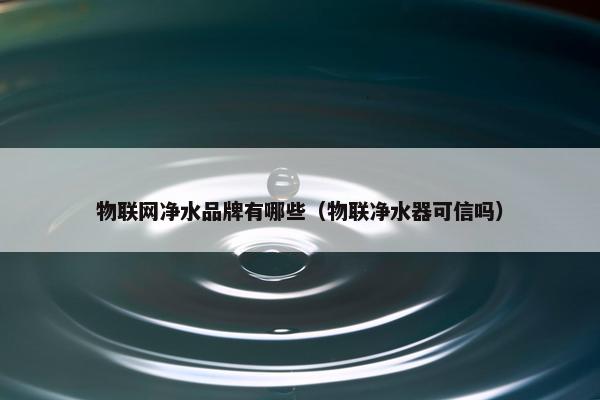 物联网净水品牌有哪些（物联净水器可信吗）