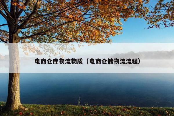 电商仓库物流物质（电商仓储物流流程）