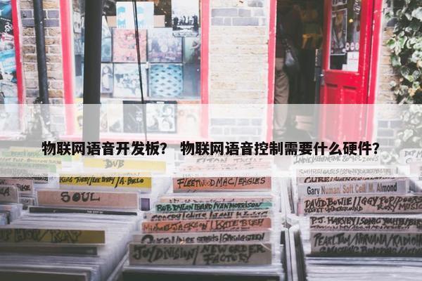 物联网语音开发板？ 物联网语音控制需要什么硬件？