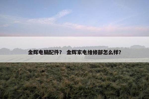 金辉电脑配件？ 金辉家电维修部怎么样？