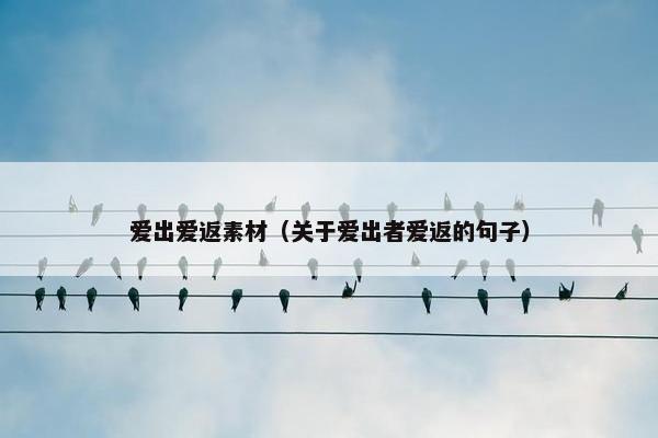 爱出爱返素材（关于爱出者爱返的句子）