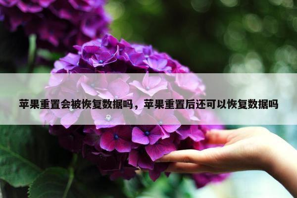 苹果重置会被恢复数据吗，苹果重置后还可以恢复数据吗