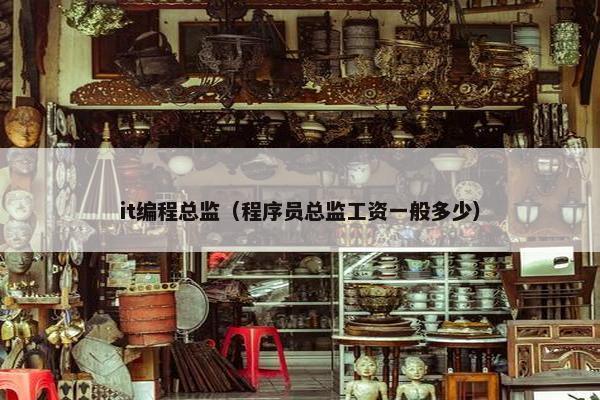 it编程总监（程序员总监工资一般多少）