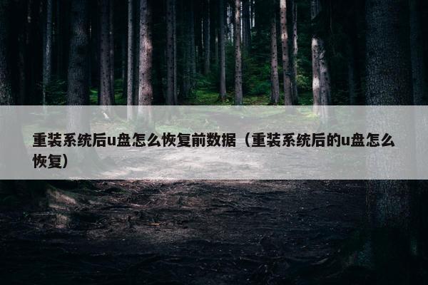 重装系统后u盘怎么恢复前数据（重装系统后的u盘怎么恢复）