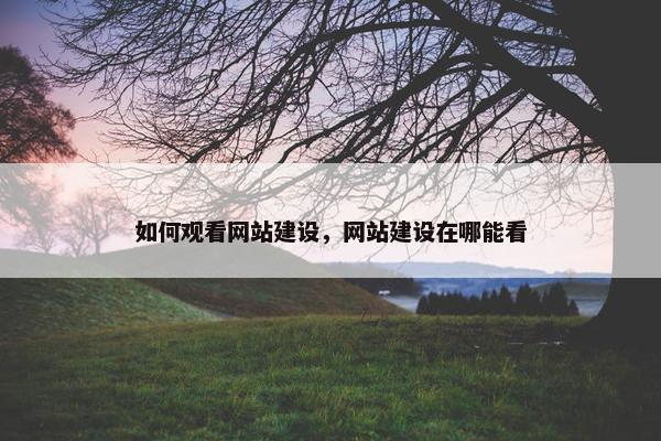 如何观看网站建设，网站建设在哪能看